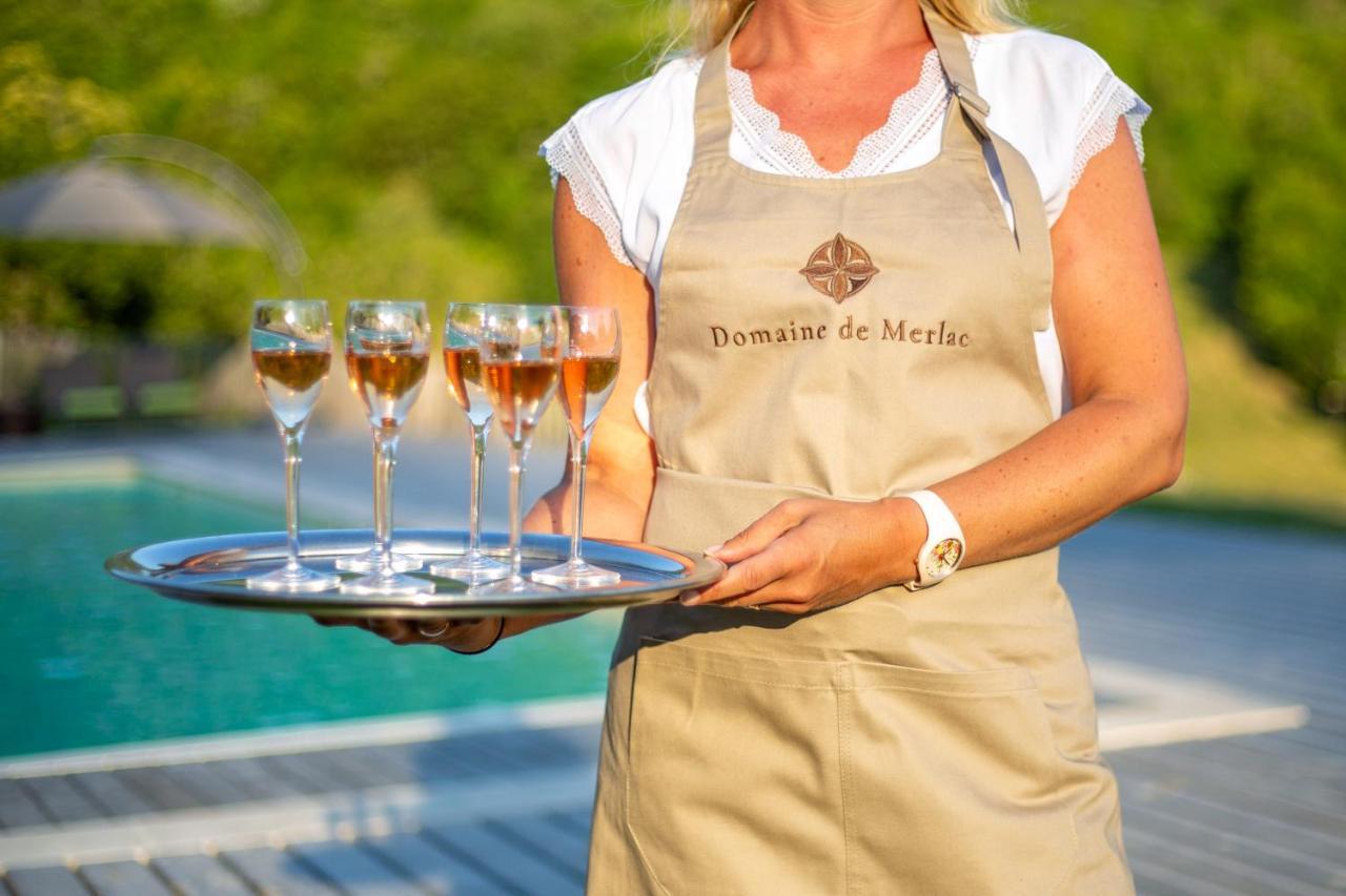 Domaine De Merlac Rieussec エクステリア 写真