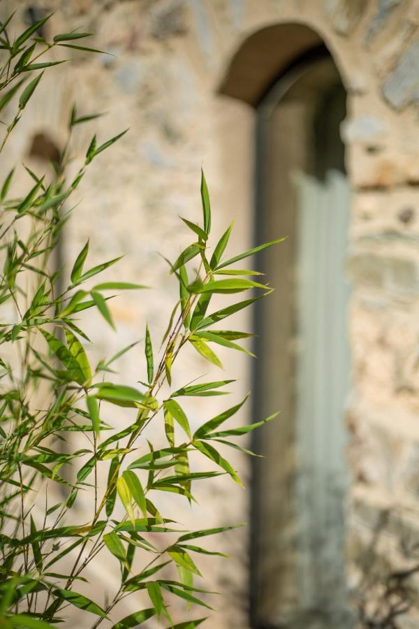 Domaine De Merlac Rieussec エクステリア 写真