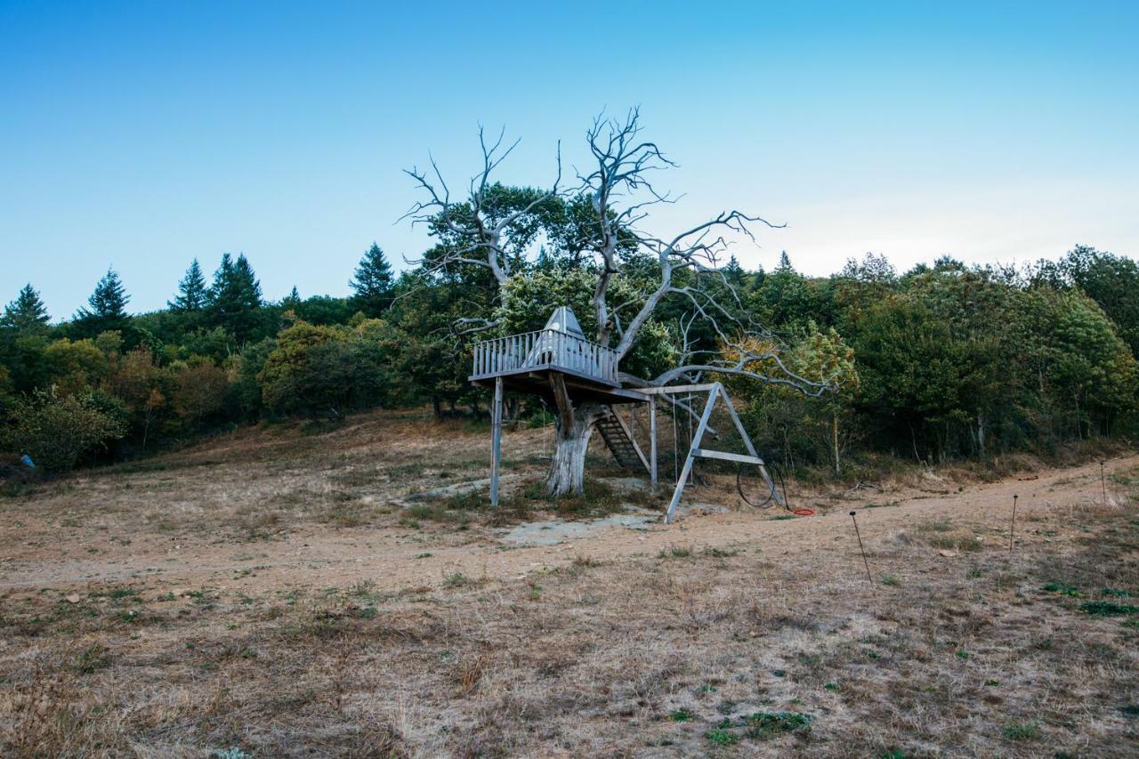 Domaine De Merlac Rieussec エクステリア 写真
